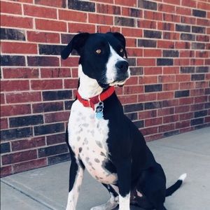 Meet your Posher, Cameron